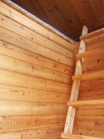 Фото номера Дом для отпуска (Metsavahi Maja) Дома для отпуска Pauka Holiday House г. Poama 5